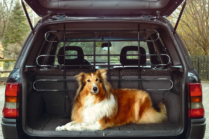 KARLIE Hunde Autoschutzgitter Metall